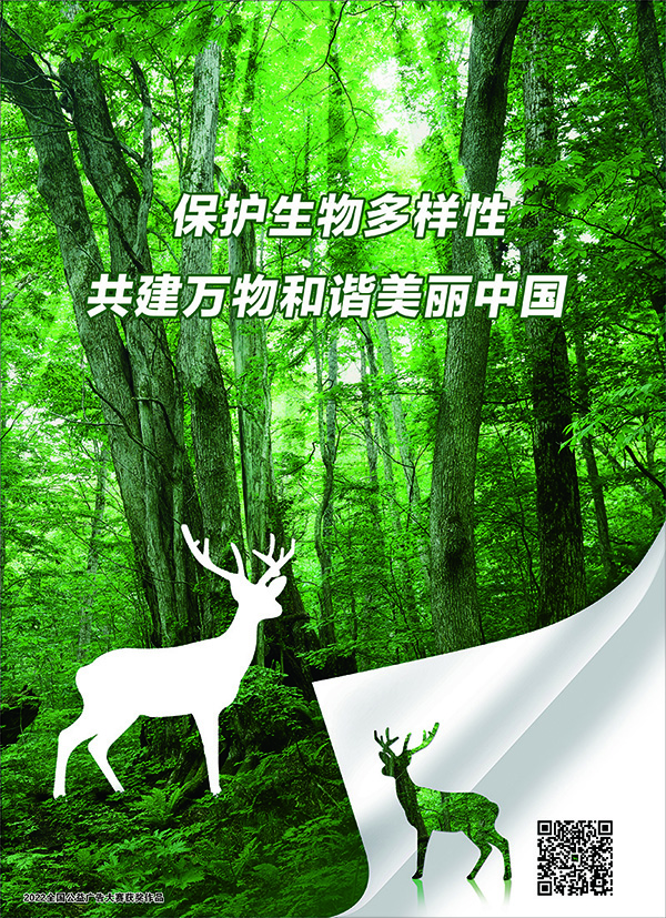 保护生物多样性 共建万物和谐美丽中国